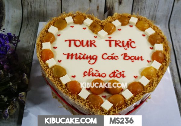 Bánh sinh nhật hình tim - Tour Trực mừng các bạn chào đời MS236